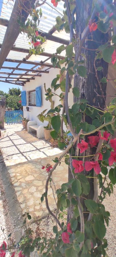 Sweet Old House Apartment Marsala Luaran gambar