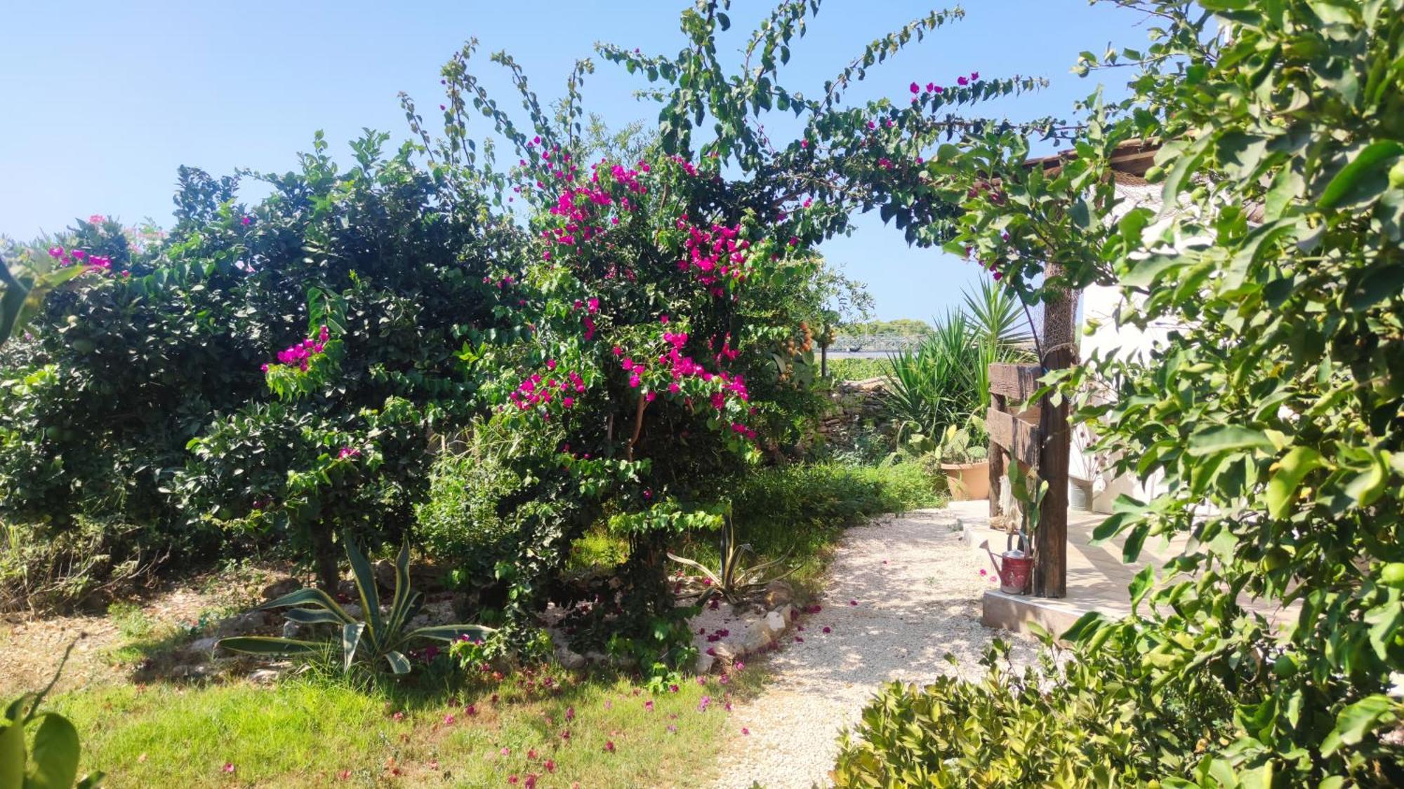 Sweet Old House Apartment Marsala Luaran gambar
